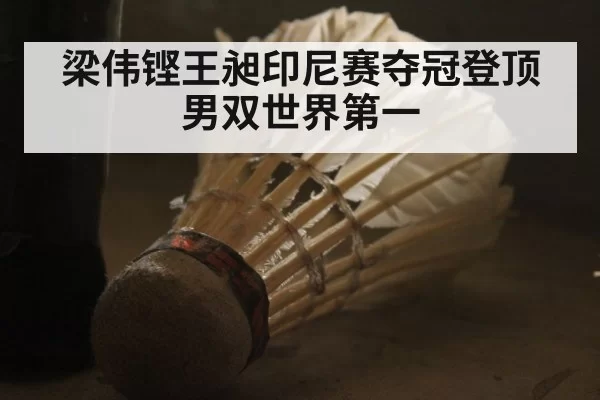 梁伟铿王昶印尼赛夺冠登顶男双世界第一
