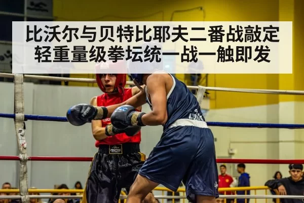 比沃尔与贝特比耶夫二番战敲定 轻重量级拳坛统一战一触即发