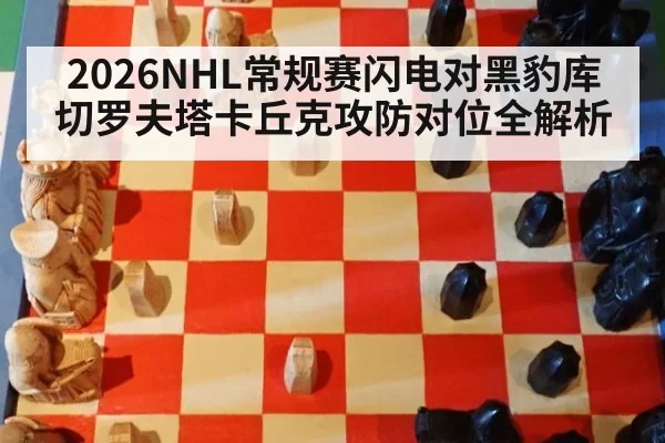 2026NHL常规赛闪电对黑豹库切罗夫塔卡丘克攻防对位全解析